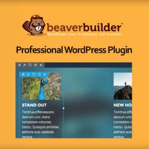 Beaver-Builder-Professional-WordPress-Plugin